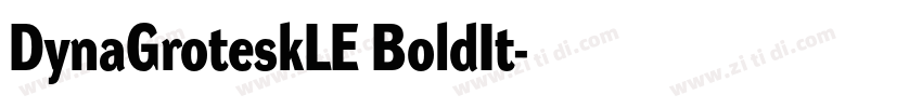 DynaGroteskLE BoldIt字体转换 DynaGroteskLE BoldIt字体转换